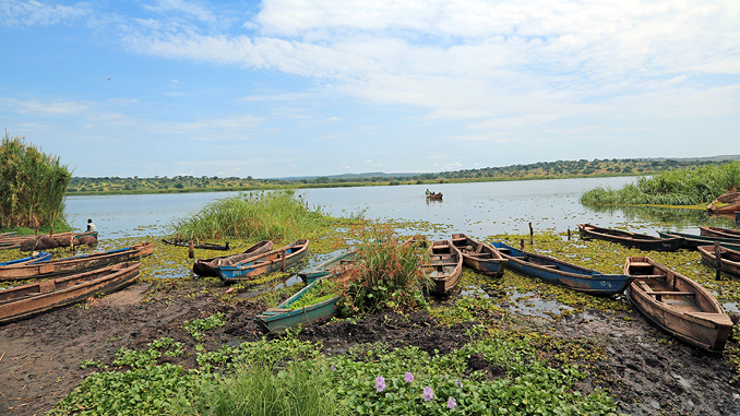 Bild: Fischerboote am Nil
